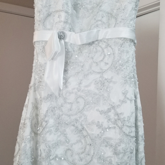 Sottero & Midgley Wedding Gown - Picture 11 of 12